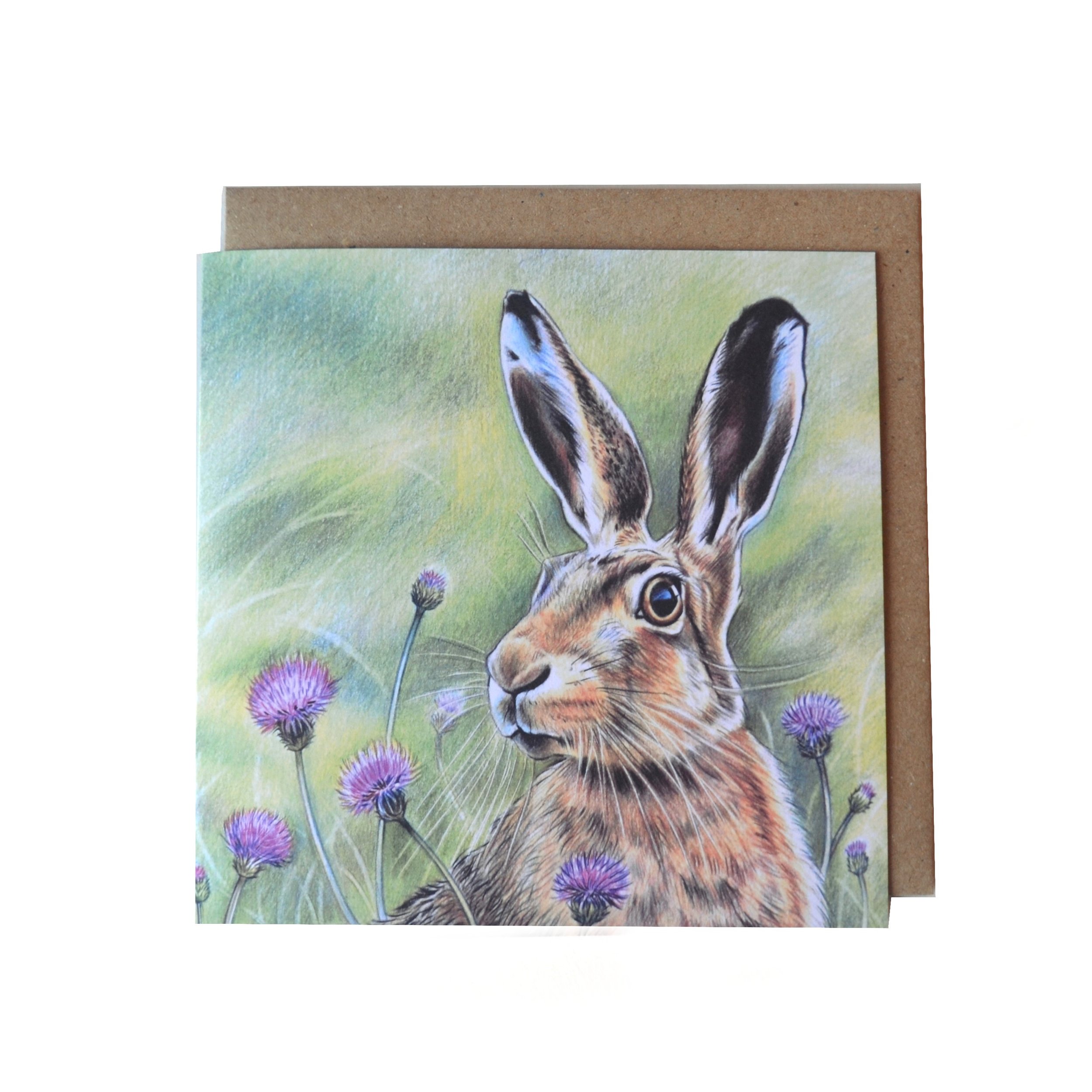 Amongst the Thistles.JPG