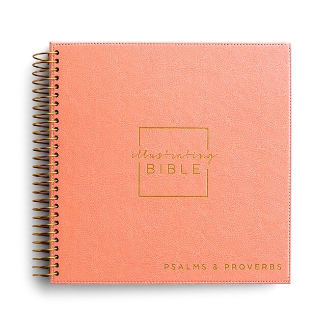 DaySpring - Illustrating Bible NIV: Books of Psalms & Proverbs