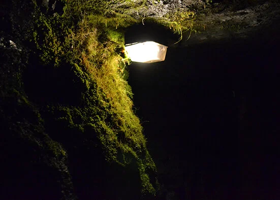 Life In The Mines 2015