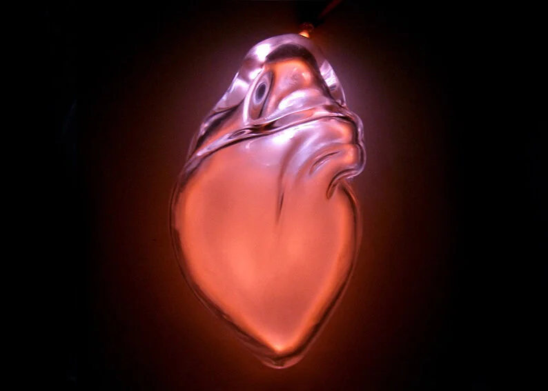 Anatomical Neon 2008-2010