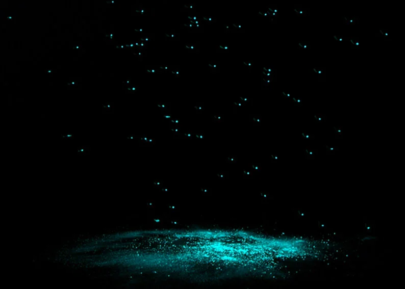 Glow Works 2007