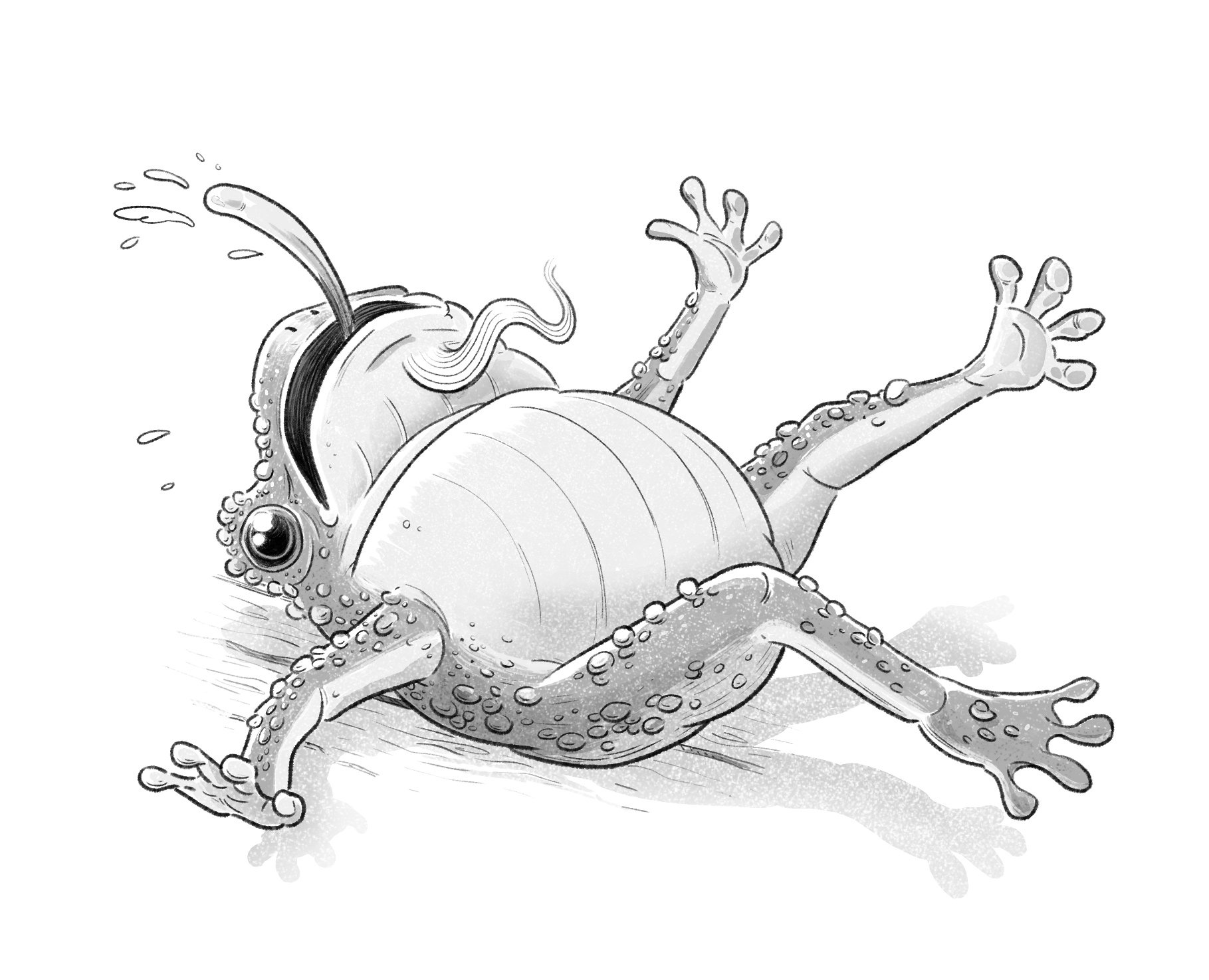 From the book 'A Peculiar Problem' by Kimberly Pauley, illustrated by Robin Boyden

The second book in the raucously funny middle grade adventure series that's perfect for fans of Terry Pratchett and Neil Gaiman...
Twig, Vile, Glimfinkle and Beaky ar