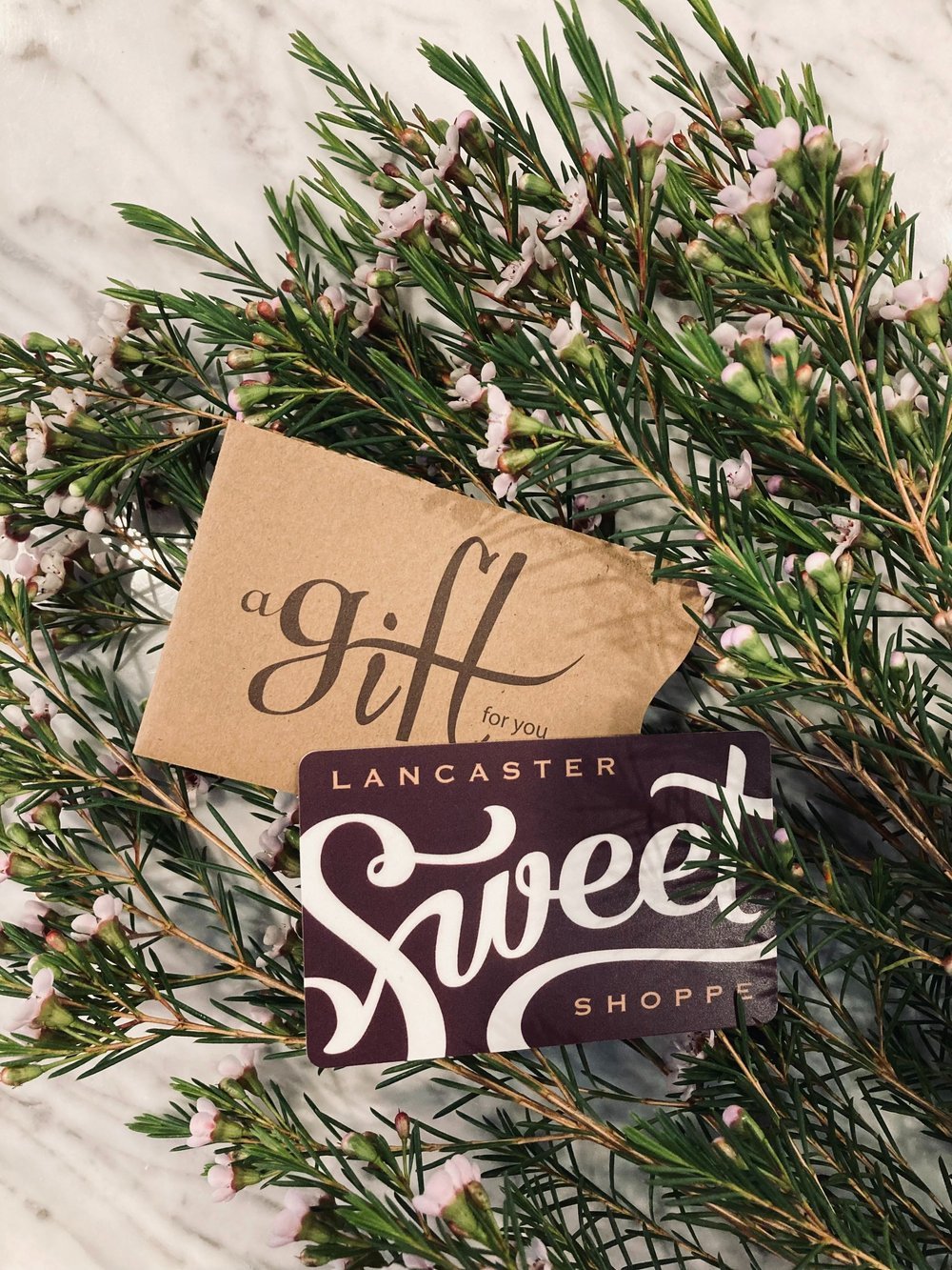 Gift+Card+Picture.jpeg