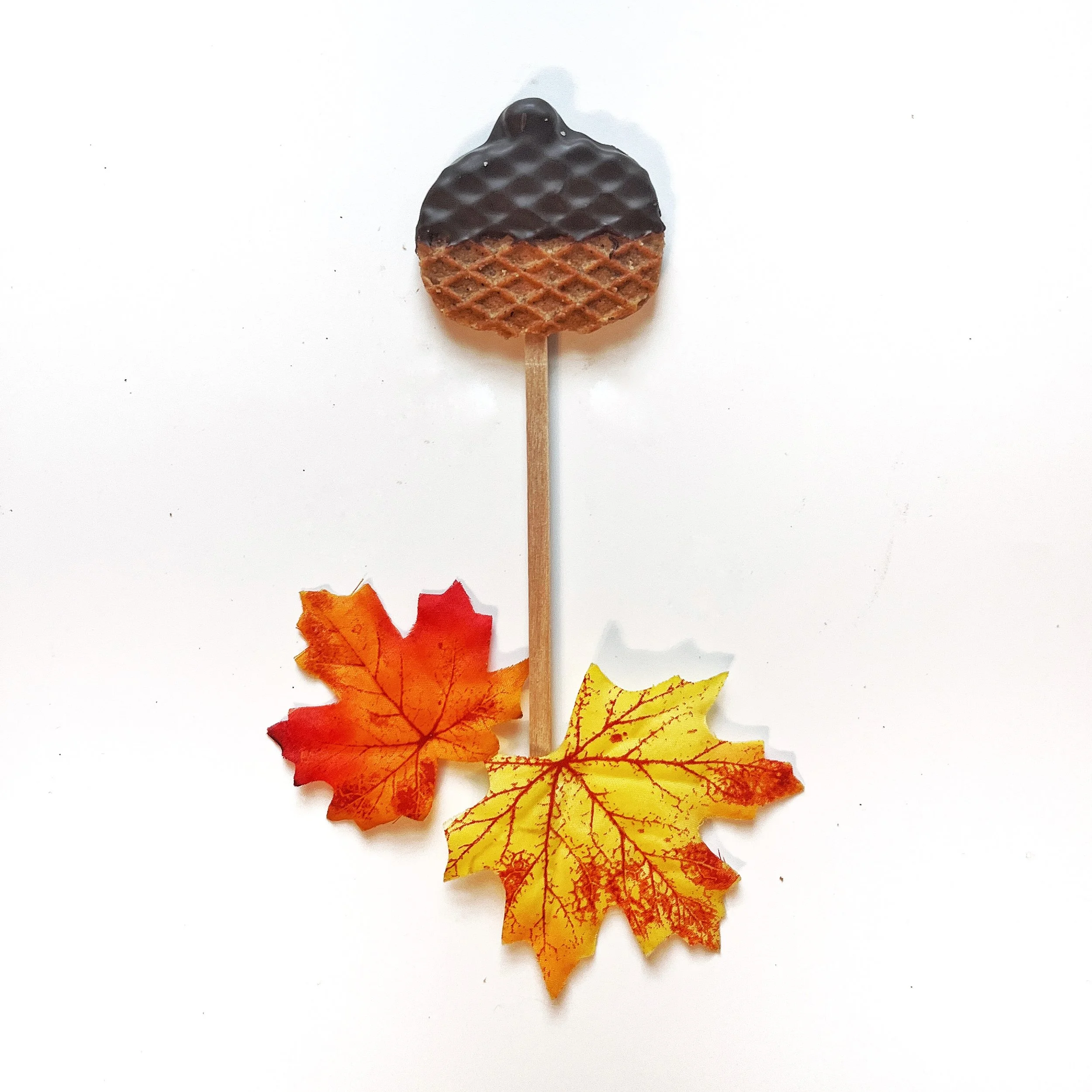 Chocolate Pumpkin Lollipop.jpg