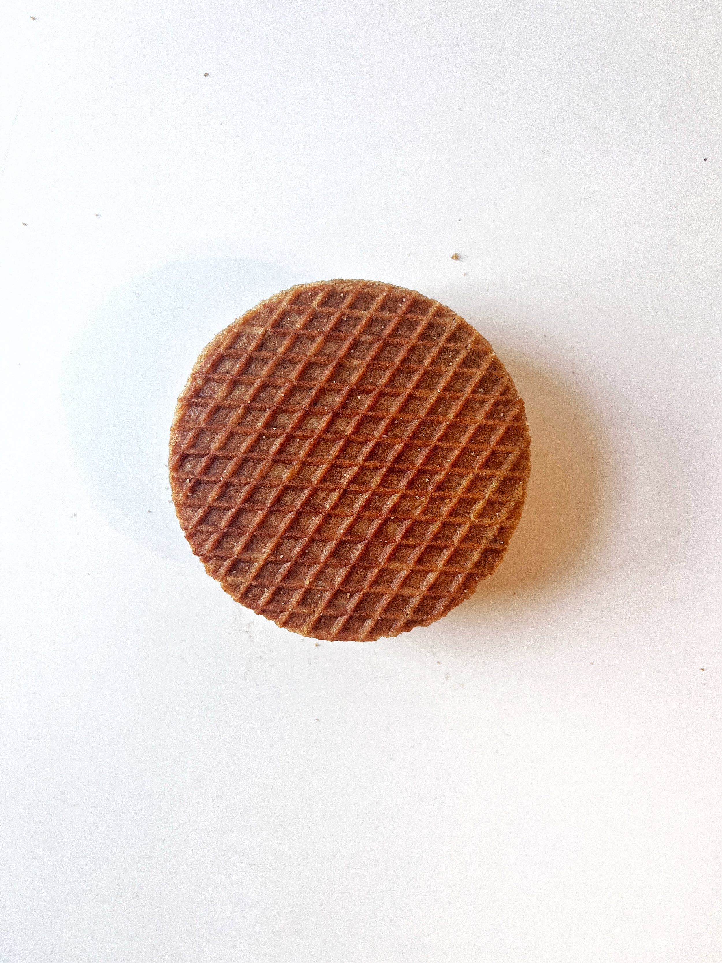Traditional GP Top View.jpg