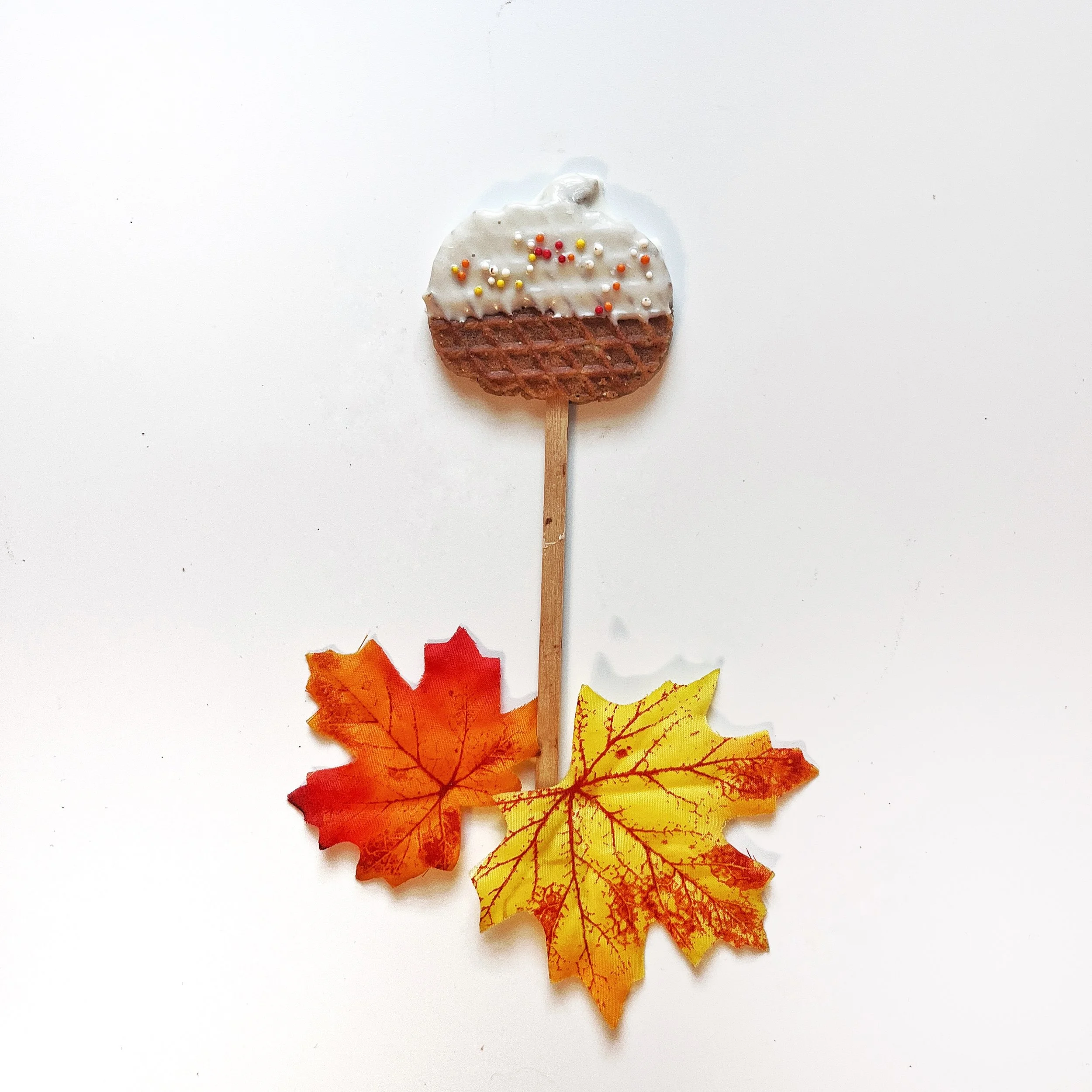 White Chocolate Sprinkle Pumpkin Lollipop.jpg