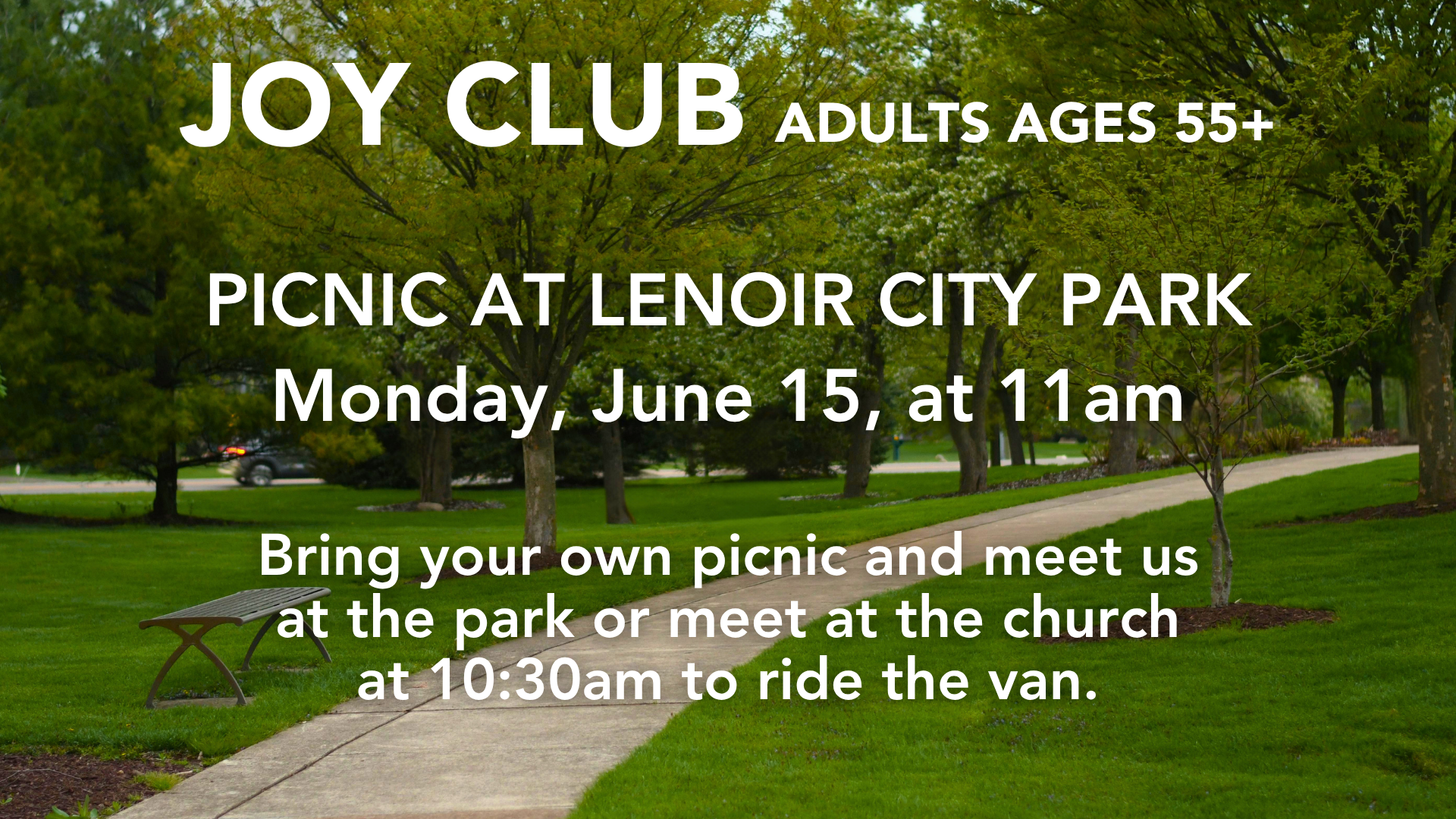 JOY Club Picnic