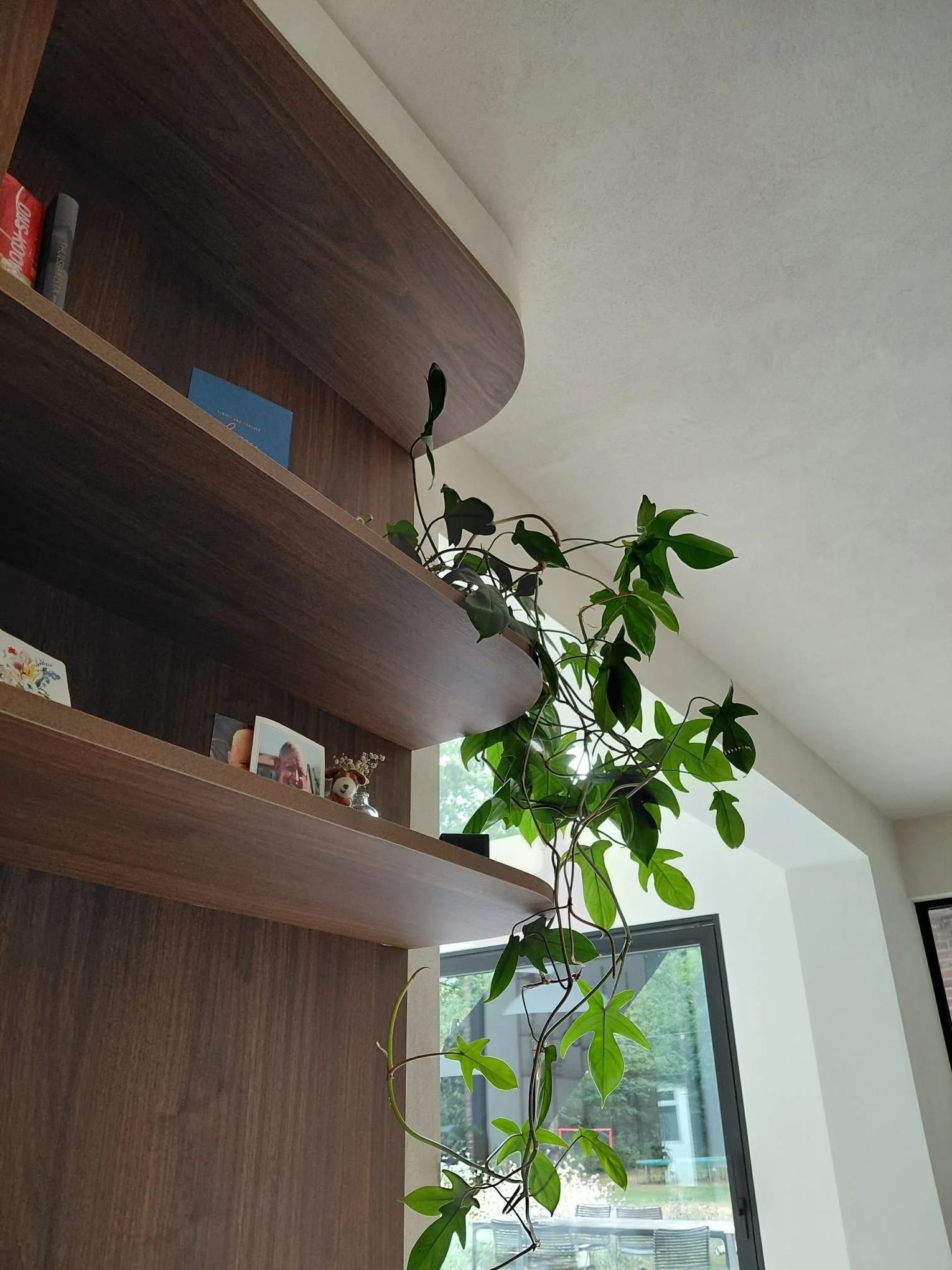 PHOTO-2025-08-27-20-54-41 2.jpg