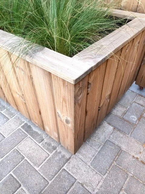 PHOTO-2021-09-27-16-11-37 (1).jpg