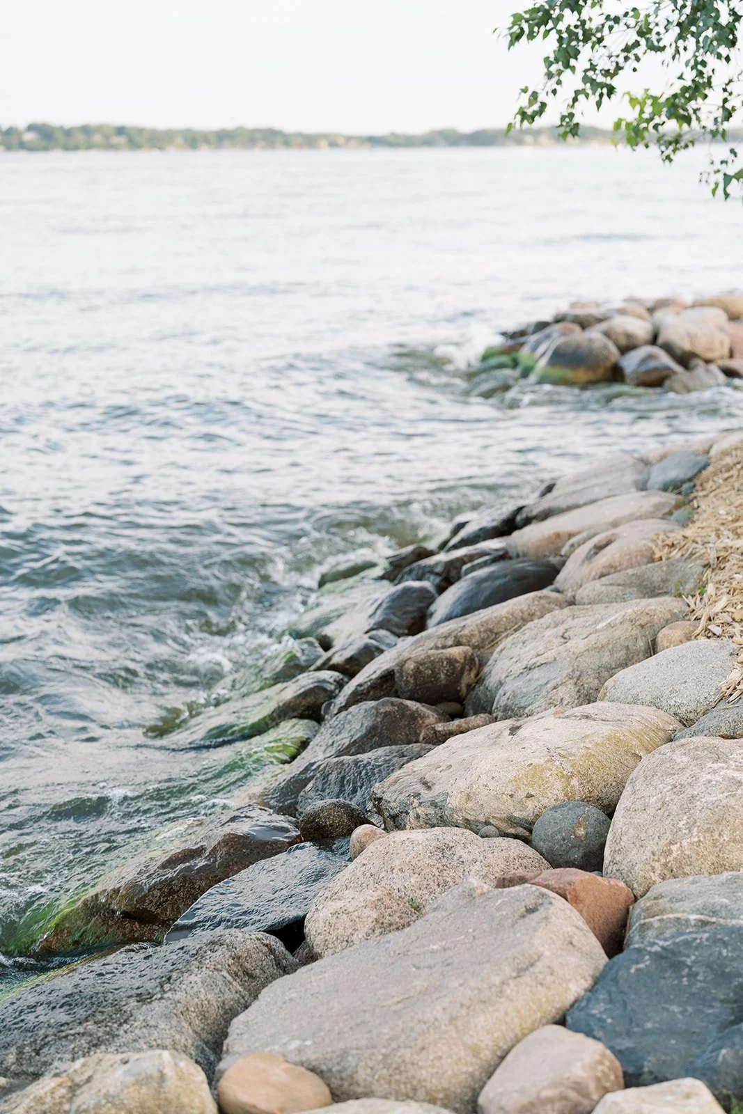 A&L Preview-0164.jpg