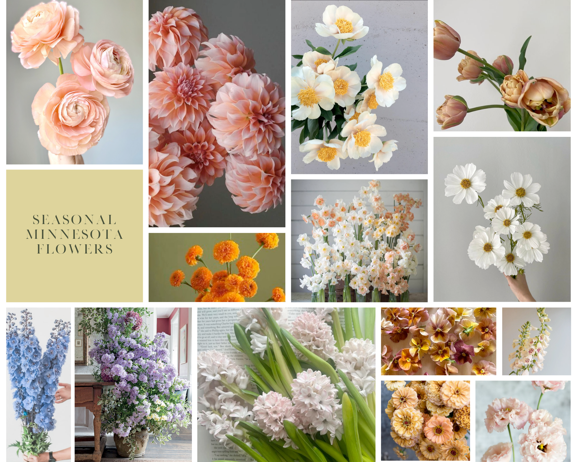 Seasonal Flower Inspiration by Month