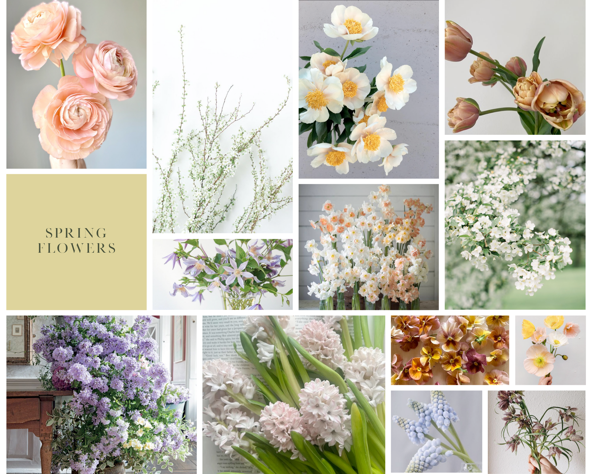 Seasonal Spring Flower Inspiration in Minnesota