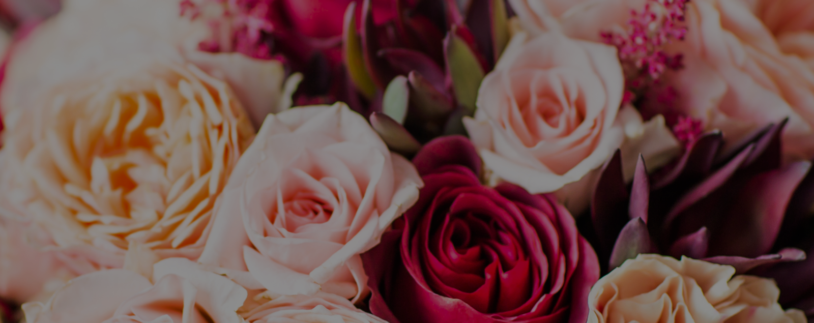 Sofi La Fleur Flowers & Plants Delivered Swiftly Throughout The Day