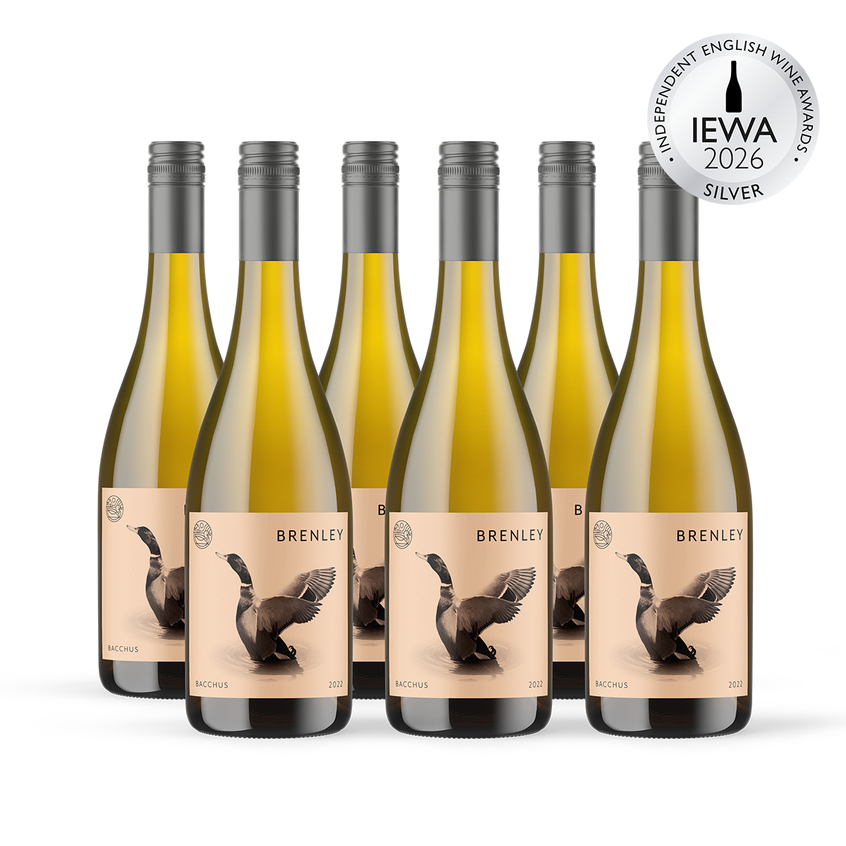 Bacchus 2023 (case of 6)