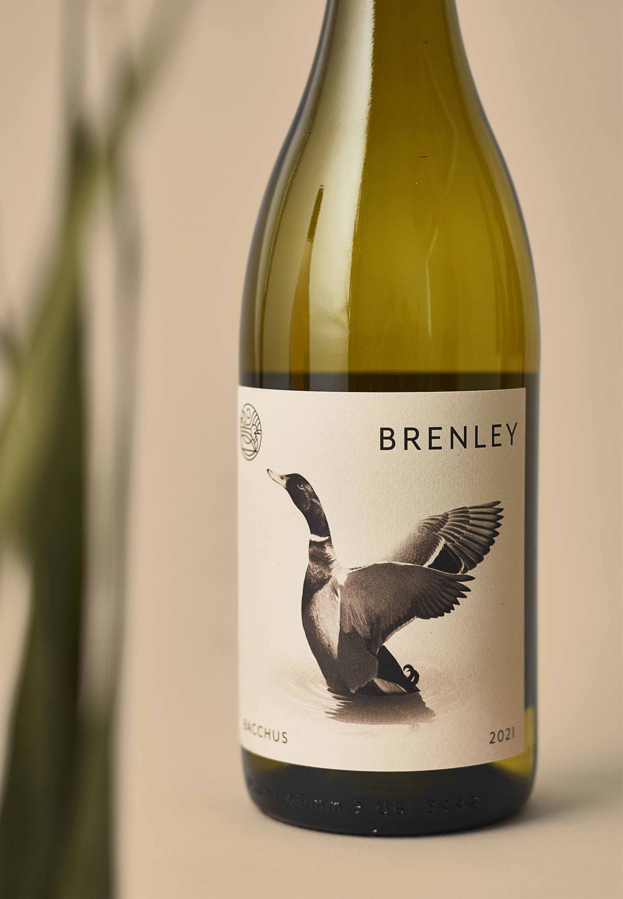 brenely_7-lighter_small.jpg