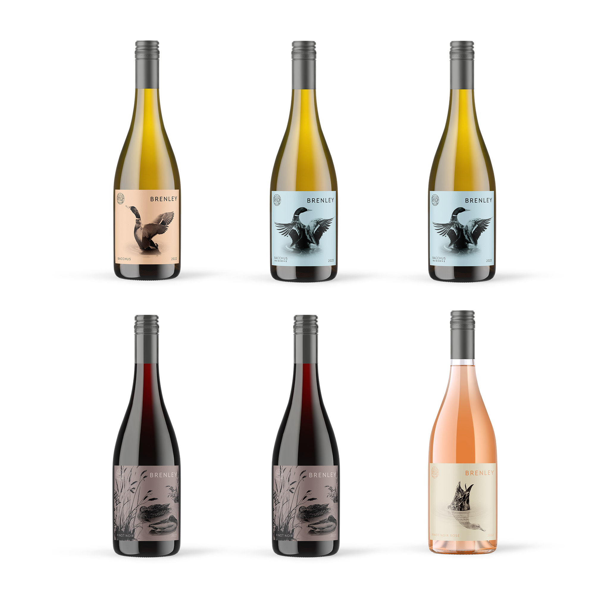 Mixed Still Wine Selection 2
