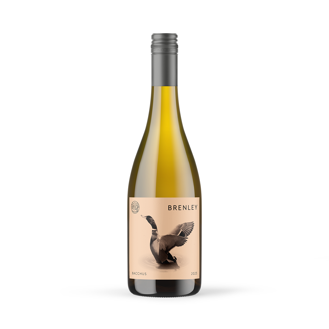 brenley_bacchus_web@0.33x@0.33x.png