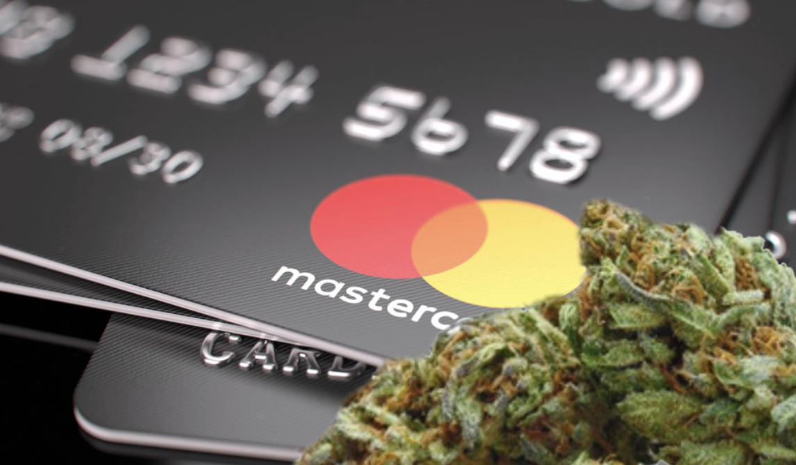 Credit Cards with cannabis buds