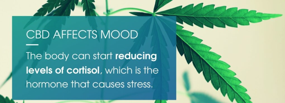 CBD Affects Mood, The body can start reducing levels of cortisol, which is the hormone that causes stress.