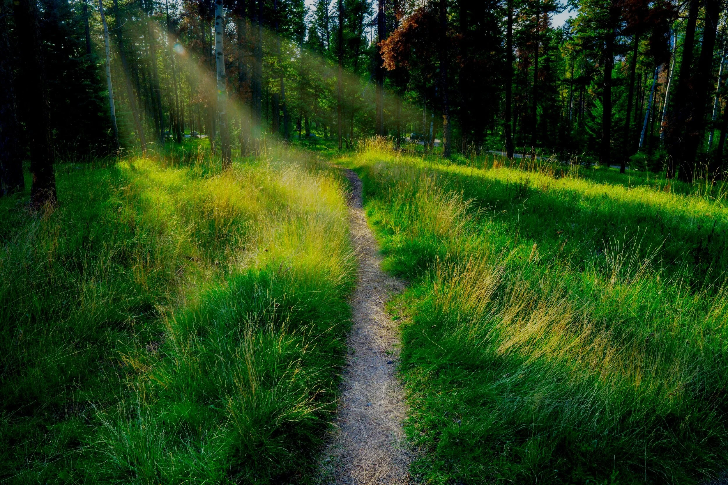 Mental Health Counselors to Guide and Support You