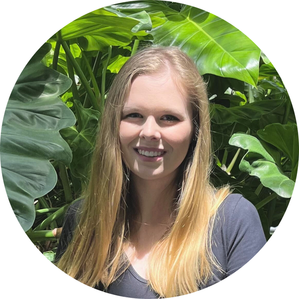 Alexandria Wick, LMFT — Avenues of Counseling