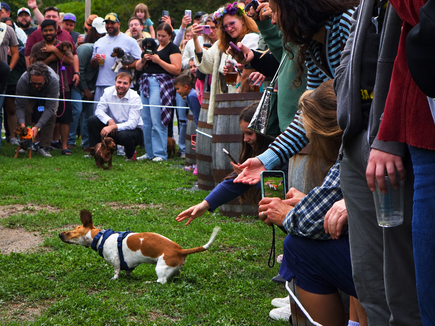 SparrowLieu_CP_DaschundRaces_9:20:26_01.PNG