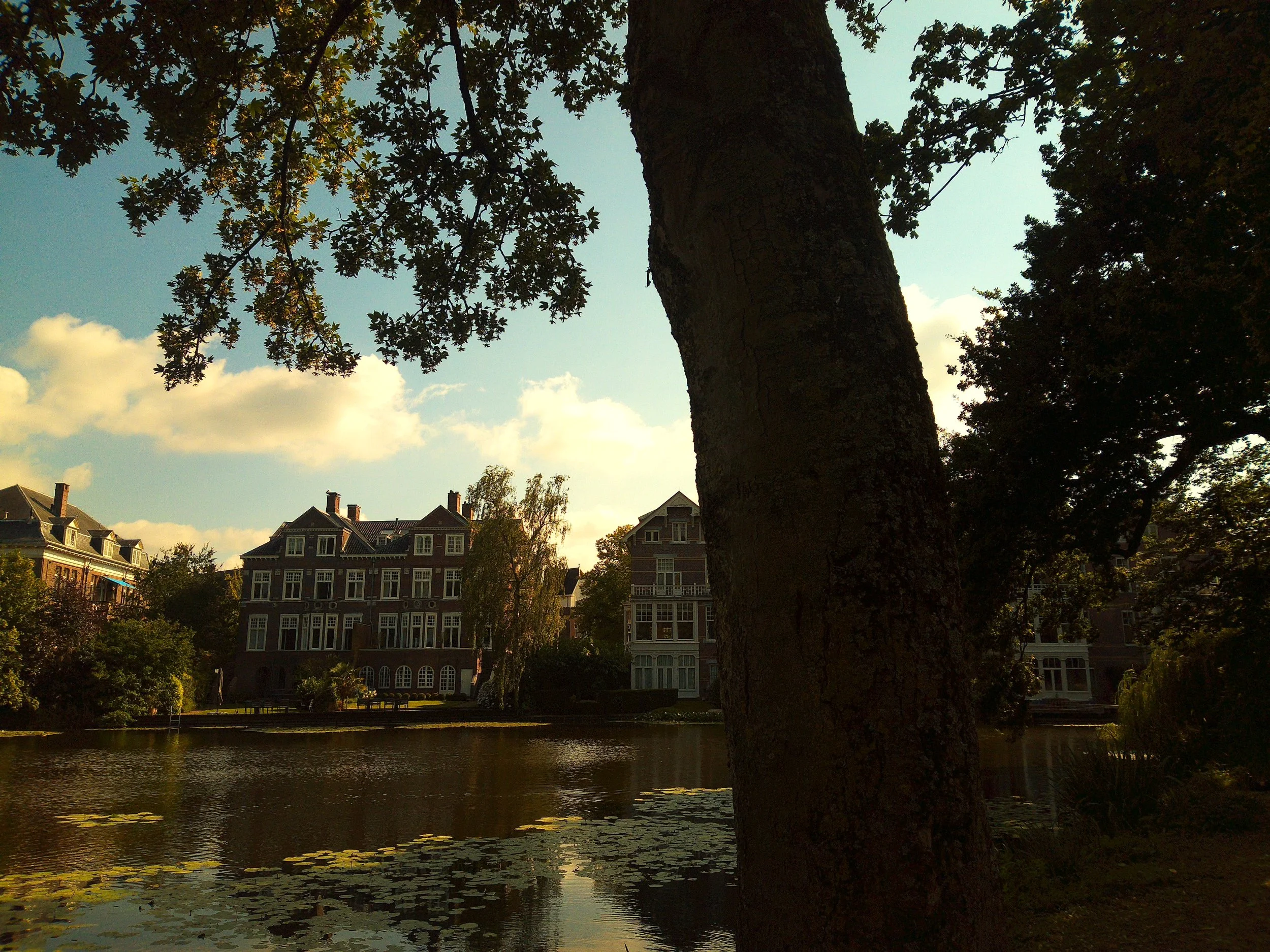 DSCF0119.JPG