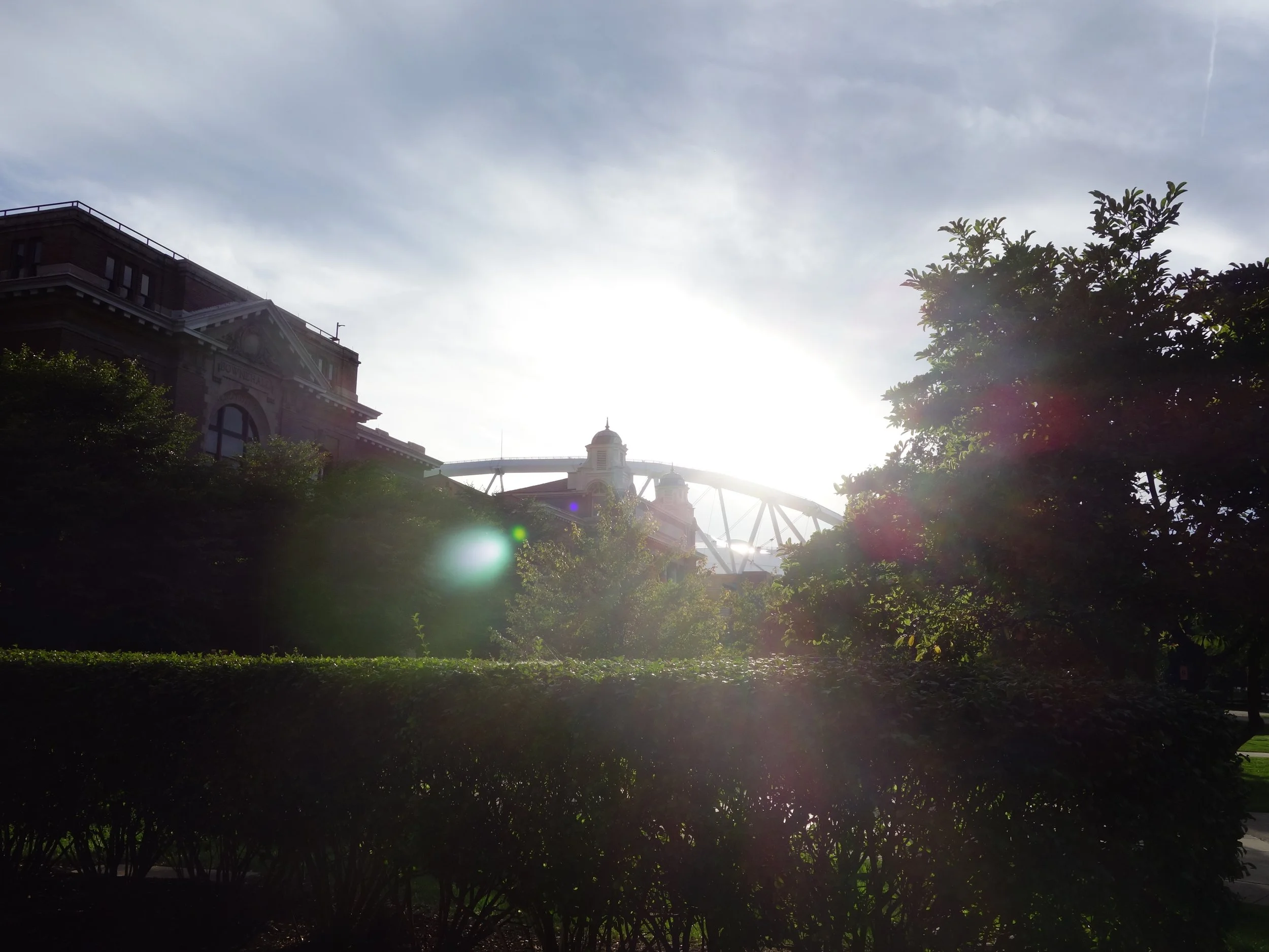 DSC09810.JPG