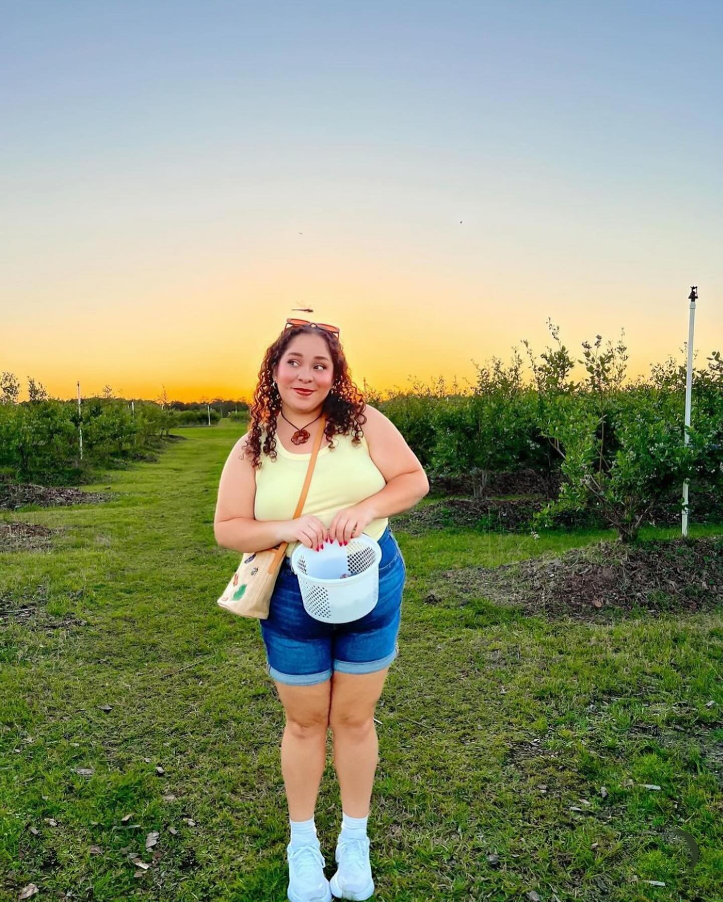 Craving some UPick blueberries, a refreshing cocktail and a sunset wagon ride? We got you! Join us for Sunset Upick today from 5-8!🫐🚜☀️ 

More info at FarReachRanch.com!

1st photo: @zaria.abreu 

#clermontflorida #mountdorafl #tavaresflorida #orla