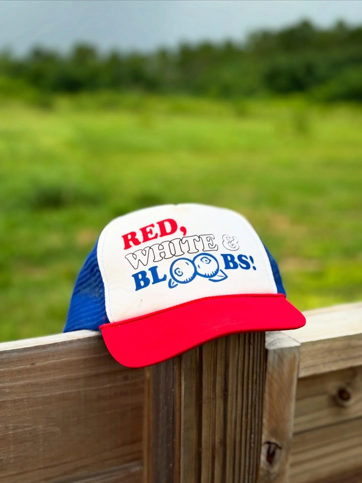 Have a happy & safe 4th and we’ll see ya in October for @fearreachscreampark πΊπΈπ»