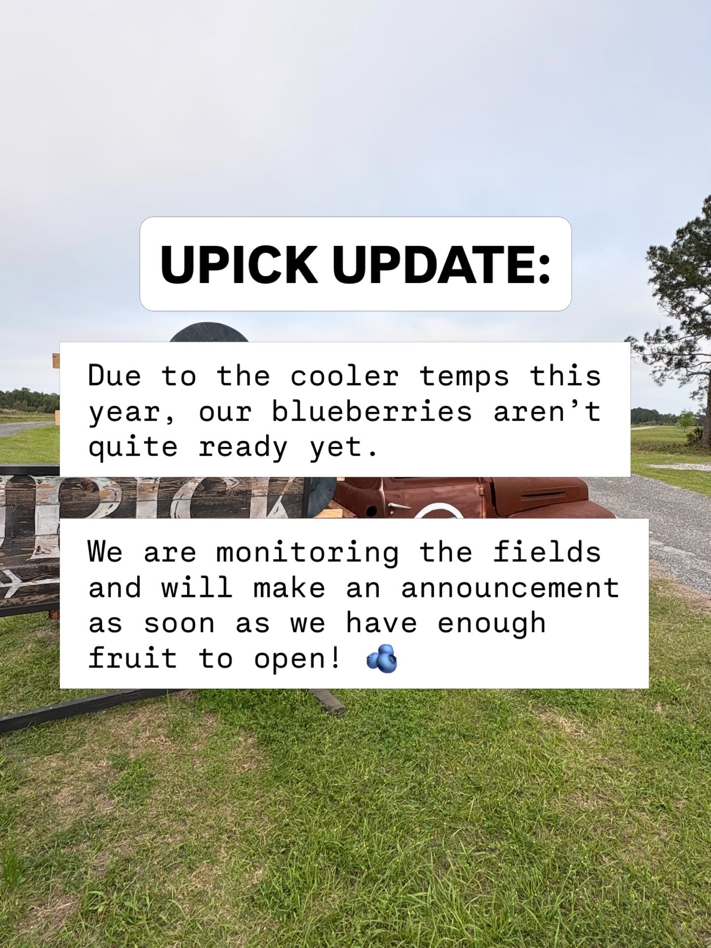 Thanks for your understanding!! 🫶🏻🫐

Follow us for updates and we hope to see you soon!