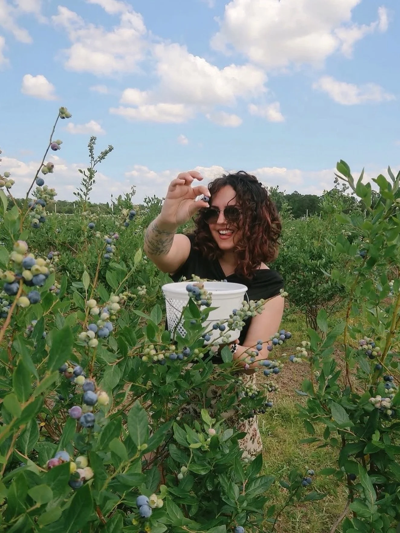 🚨🫐: UPICK UPDATE: We will be open Thursday 4/9 for the season!

And yes we&rsquo;ll have pre-picked berries for sale! 😊

🫐Season info:

HOURS
Weds-Sat: 9-4
Sundays: 10-4

UPICK: $6/lb
Pre-picked berries: $7/lb 

🍹 The bar: open every Sat &amp; S