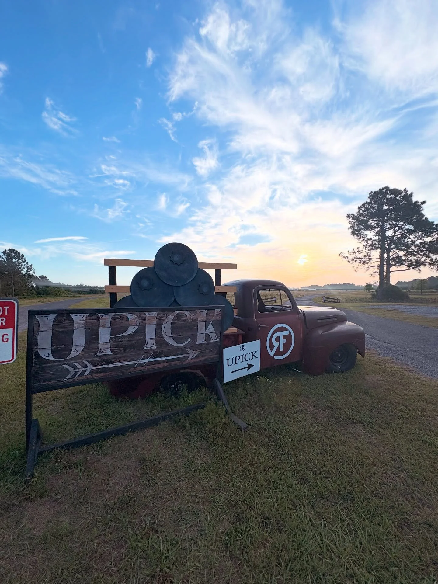 The sun is shining and the berries are waiting for YOU!🫐

🫐Season info:

HOURS
Weds-Sat: 9-4
Sundays: 10-4

UPICK: $6/lb
Pre-picked berries: $7/lb 

🍹 The bar: open every Sat &amp; Sun

🎶 Sundays: @vinyl.brunch (vinyl dj), @greenpeacoffee, @butth