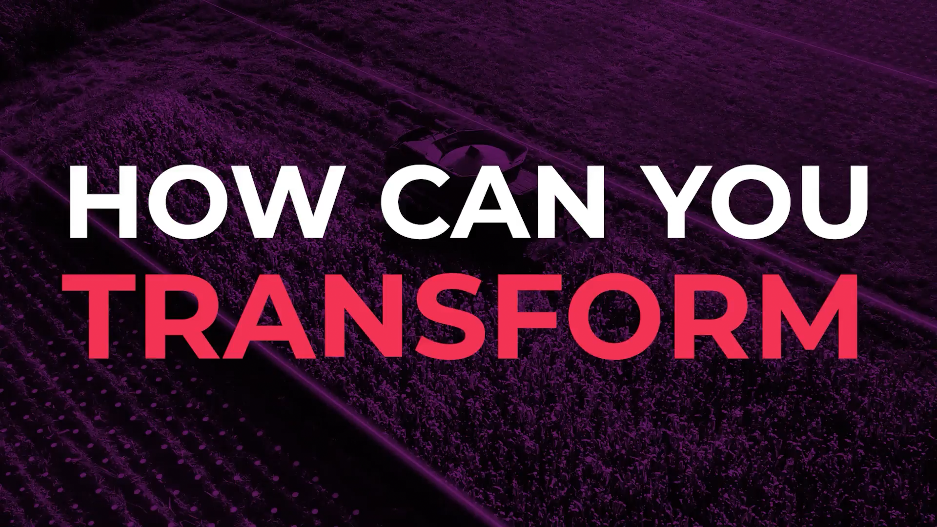Rocking Horse Pictures' AI-enhanced video for Gate One: 'HOW CAN YOU TRANSFORM' text over purple landscape. Innovative B2B video production showcasing digital transformation and AI capabilities for management consultancy.