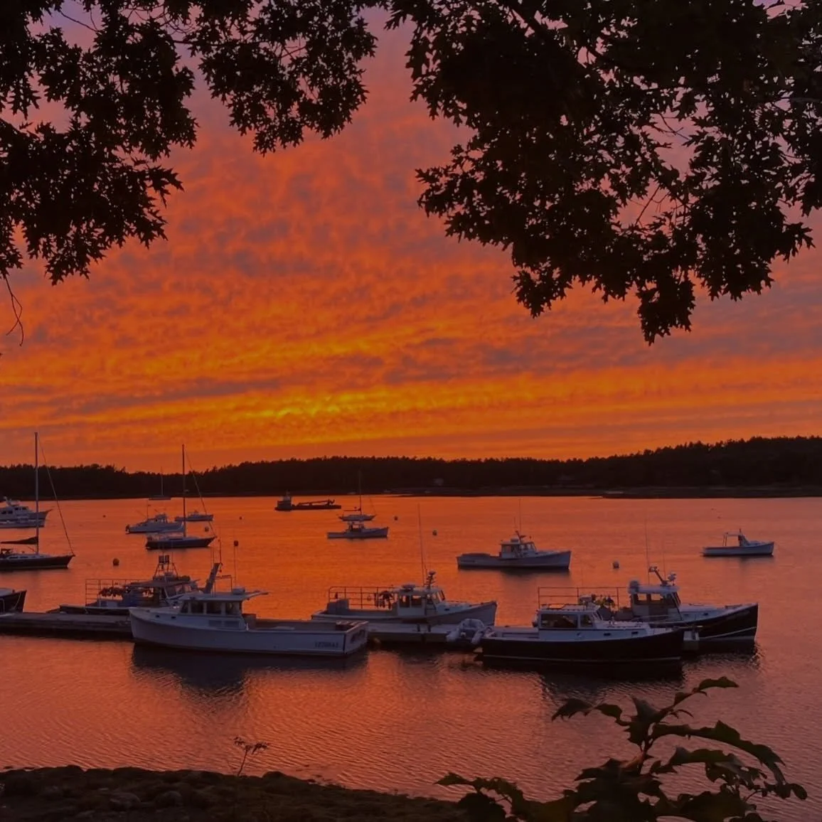 Happy birthday Maine! We love you to the moon and back &hearts;️🦞