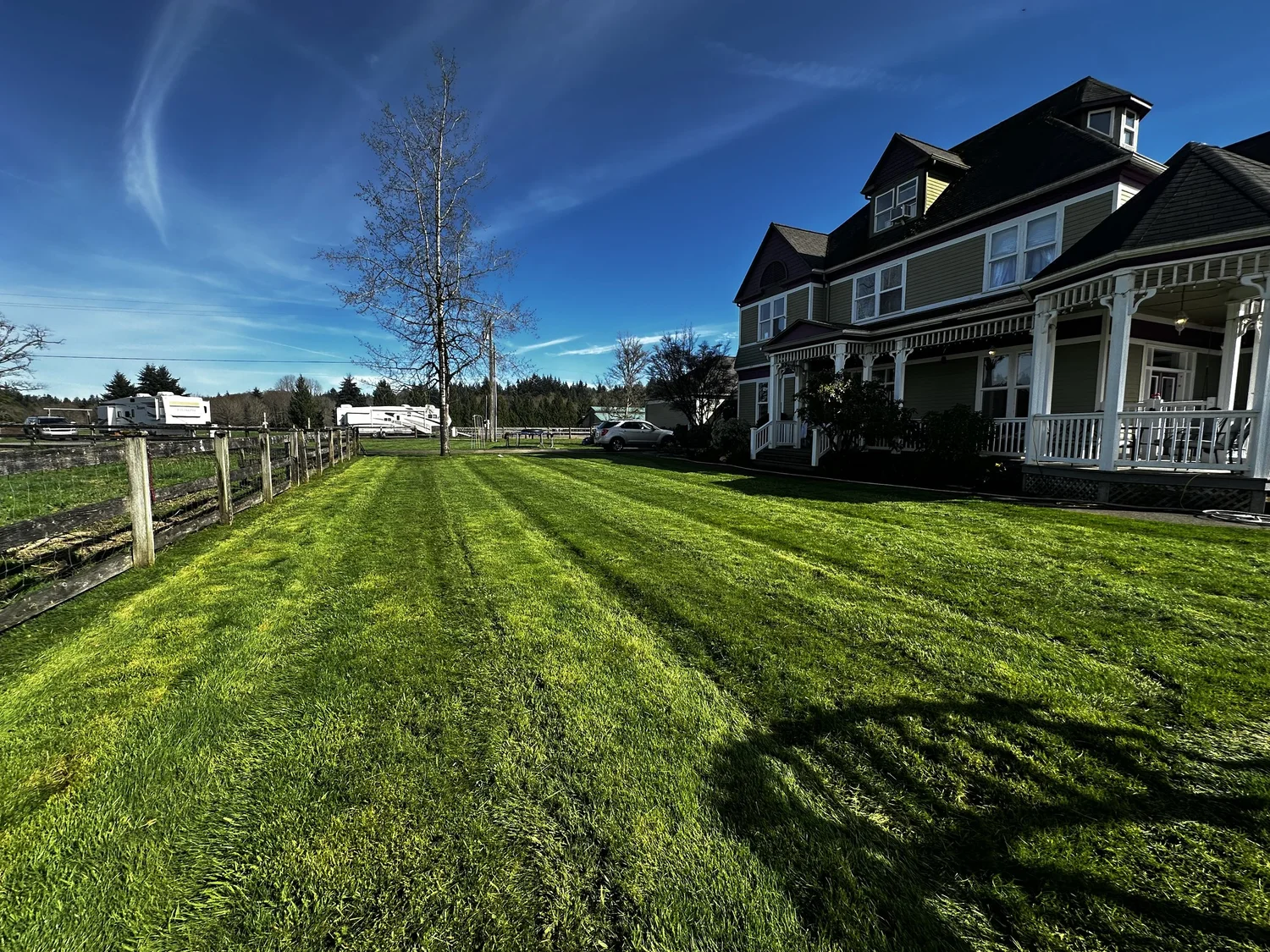 Freshly striped lawn and split-rail fence in front of a large two-story home with a tall bare winter tree, maintained by Lawn Boys Landscape, Olympia WA