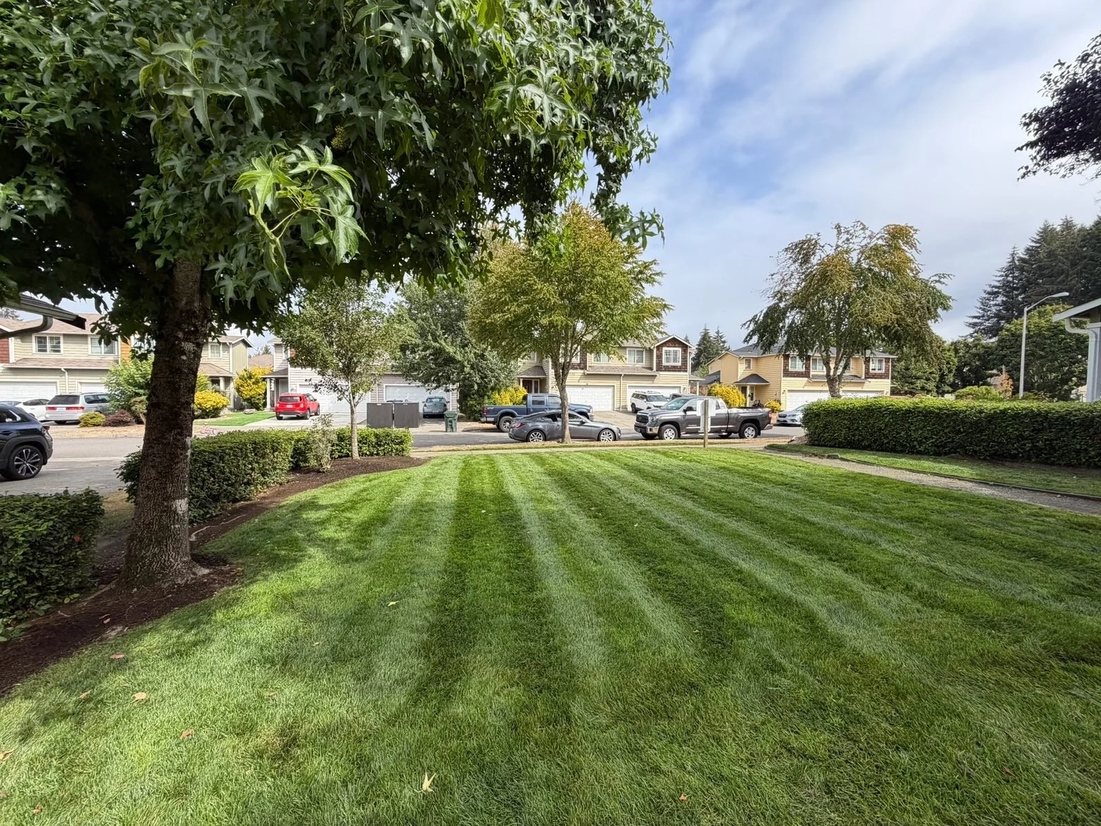 Freshly striped lawn in front of townhomes in Olympia, WA