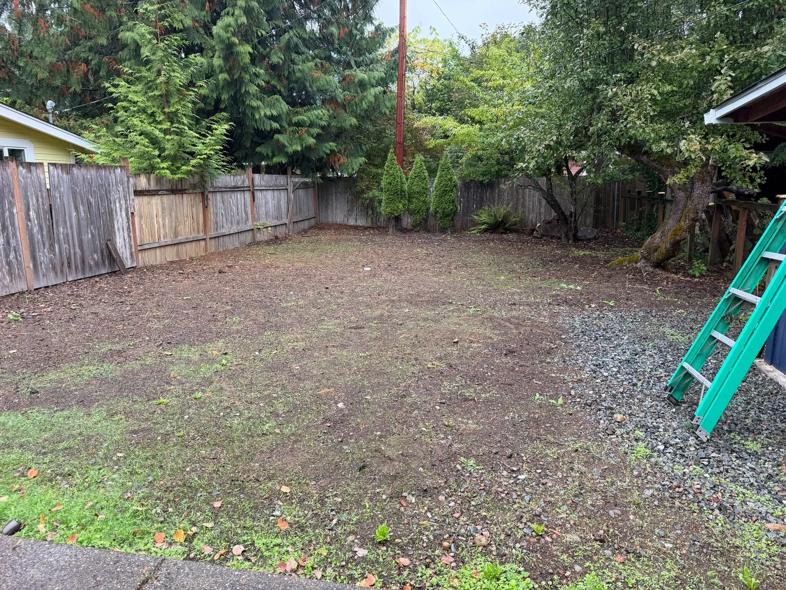 Graded backyard soil ready for landscaping in Olympia, WA
