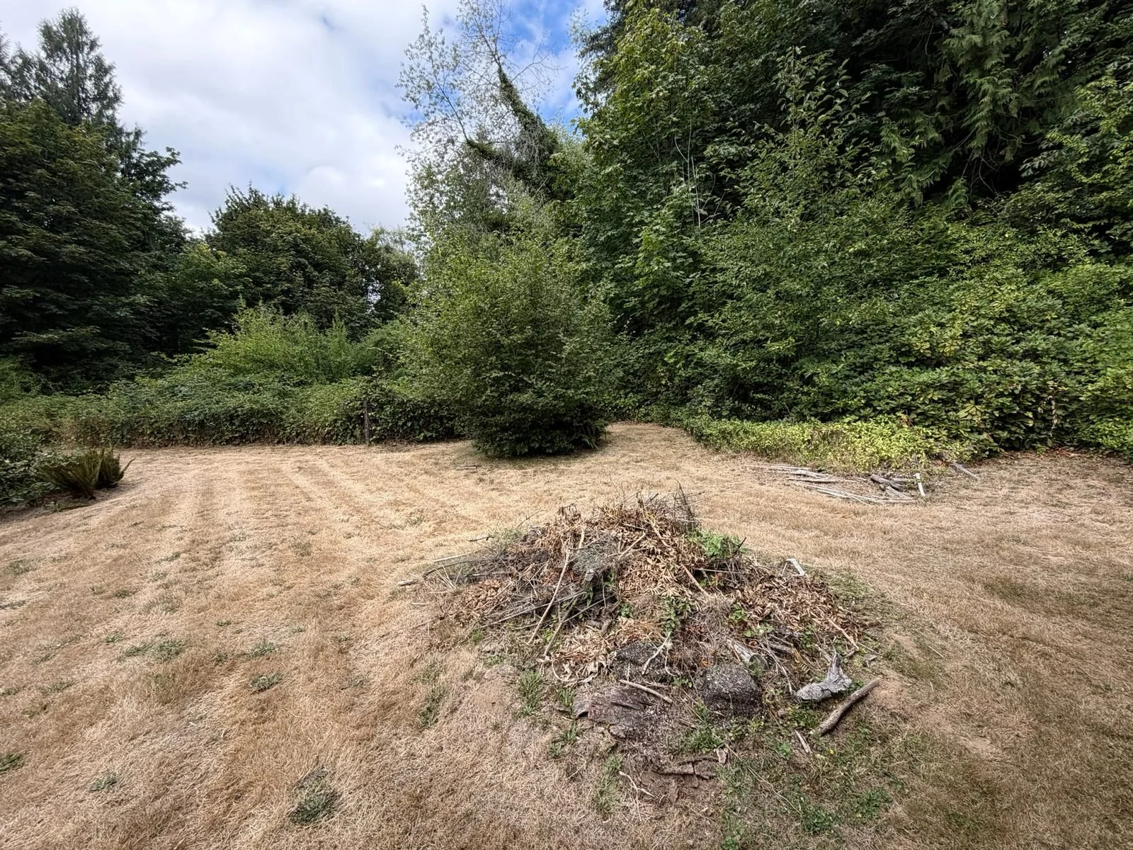 Pile of brush and branches ready for haul-away in Olympia, WA