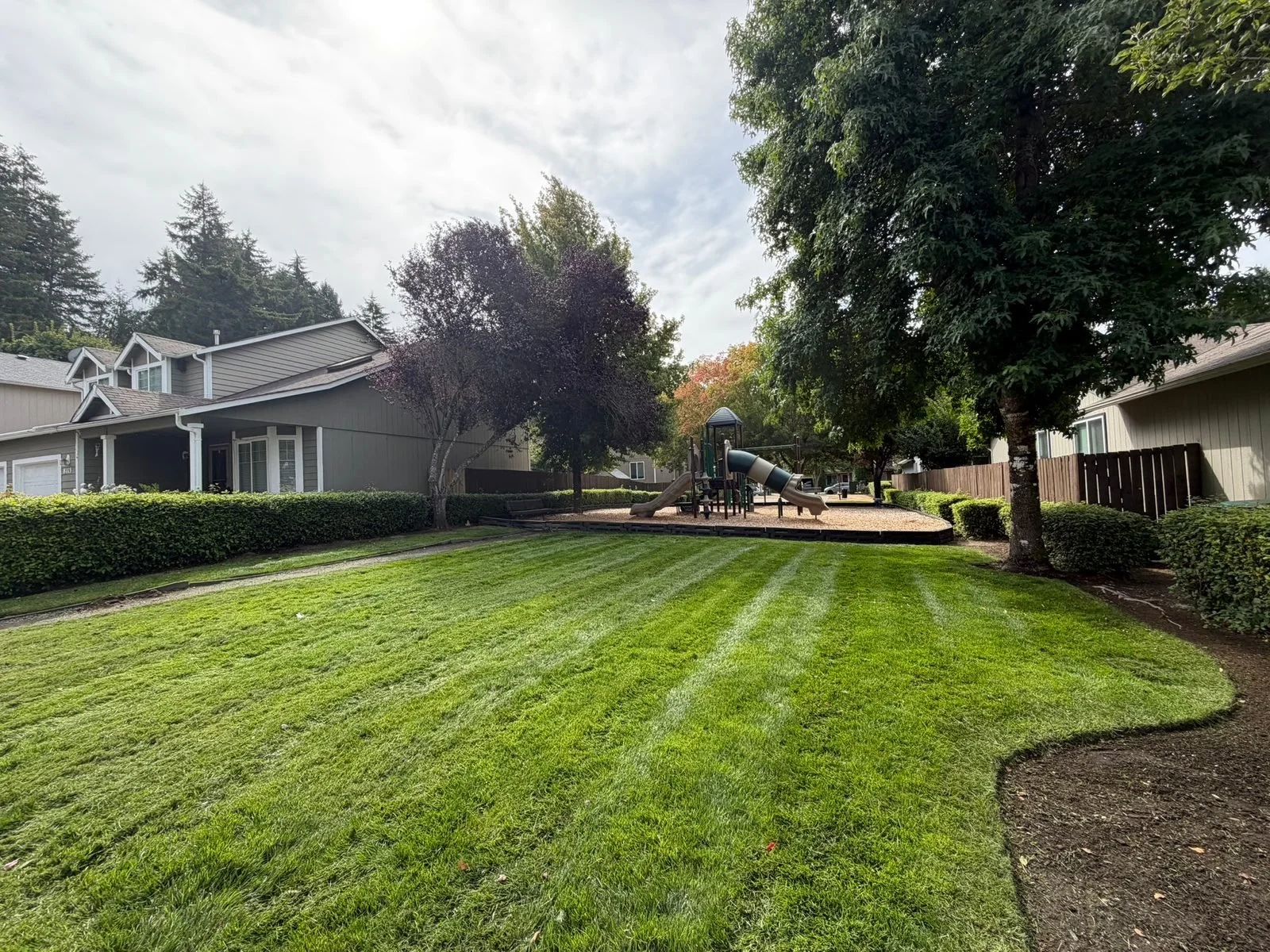 Freshly mowed lawn with a clean edge along a planting bed in Olympia, WA