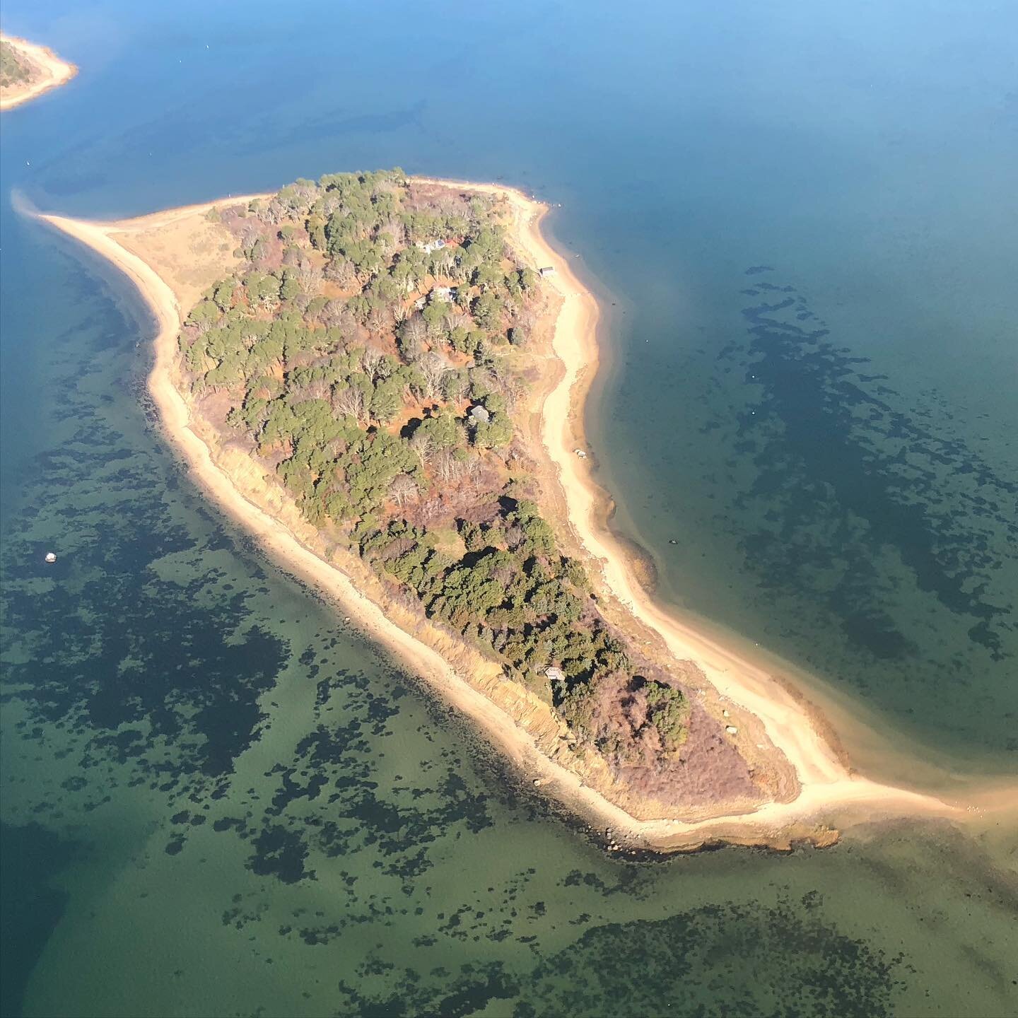 Another view of the island from last week&rsquo;s overflight.

#aerialphotography 
#ecosystem
#eelgrass 
#marinescience
#conservation 
#landconservation