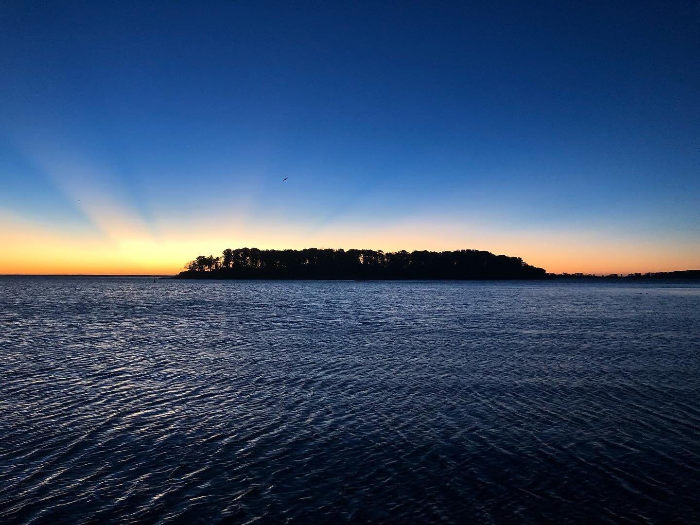 Happy New Year from Sipson Island Trust!

#newyear 
#sunrise
#conservation 
#landconservation 
#openspace 
#nature