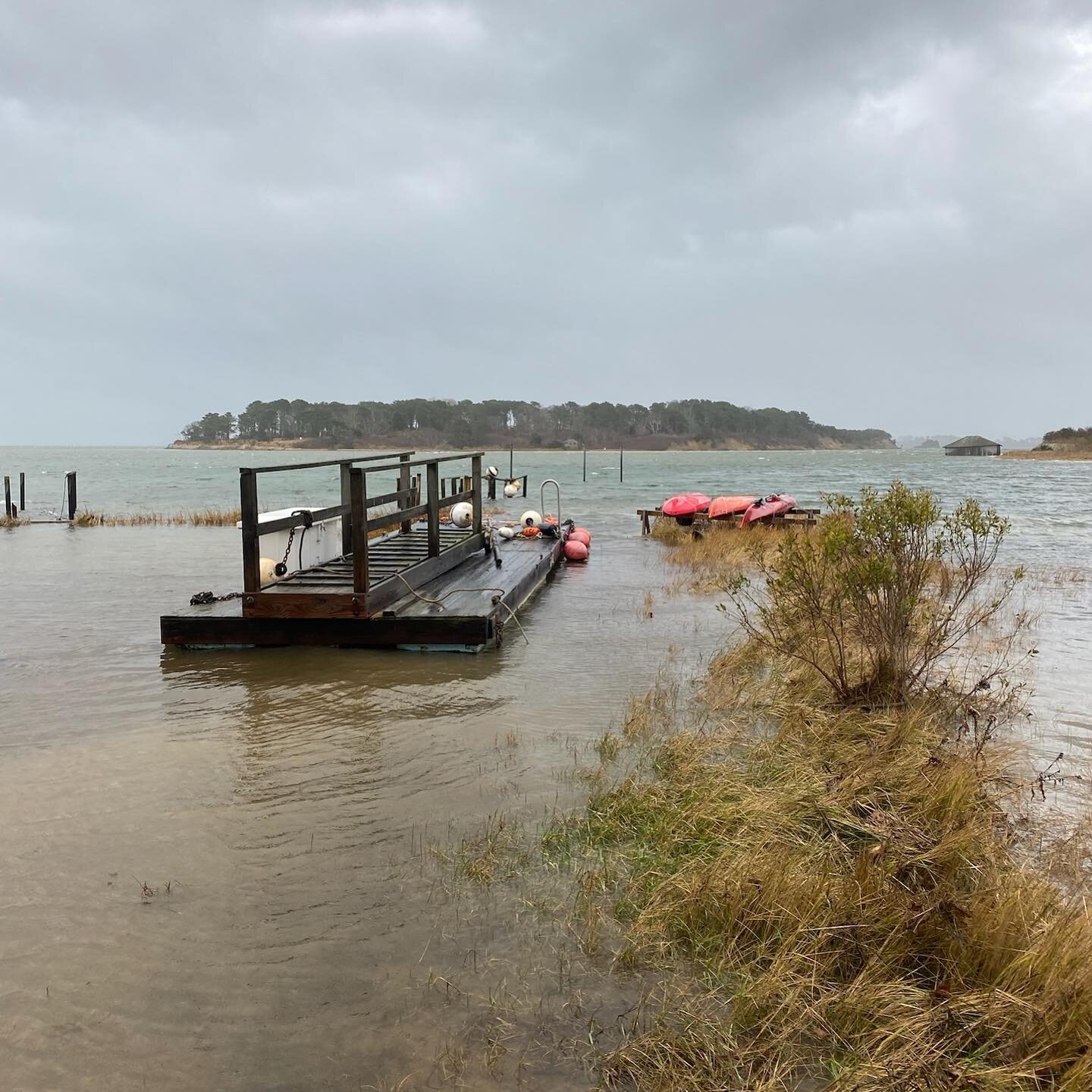 Another view of last week&rsquo;s storm surge across the Narrows from the island. The dock is anchored in place in the flooded parking area!

#storm
#stormsurge #flooding
#conservation 
#landconservation 
#openspace 
#nature