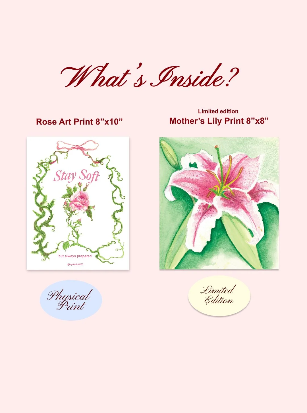 2026_01_The Large Bittersweet Healing Snail Bundle 2.jpg