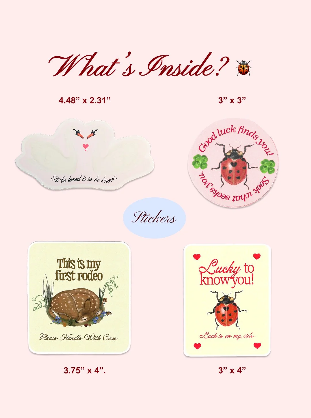 2026_01_The Large Bittersweet Healing Snail Bundle 3.jpg