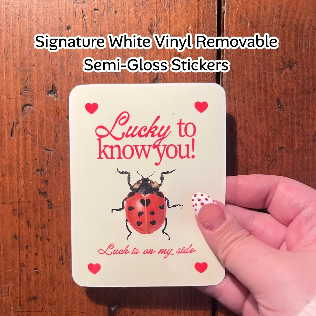 Ladybug luck V2.2.jpg