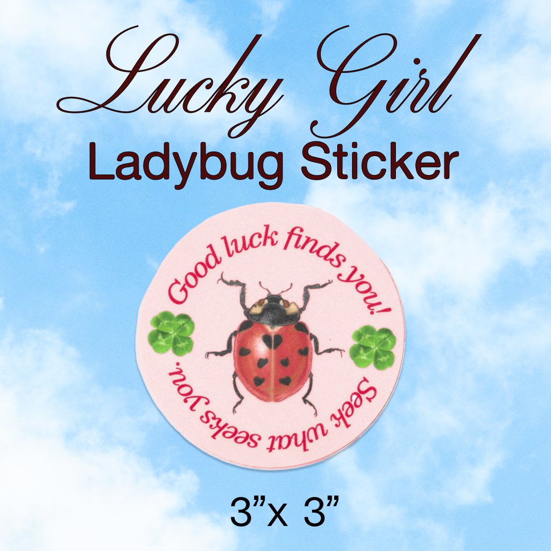 Seek what seeks you – Lady Bug Illustration Quote Luck sticker 3” x 3” circle.  Lettermail *untracked