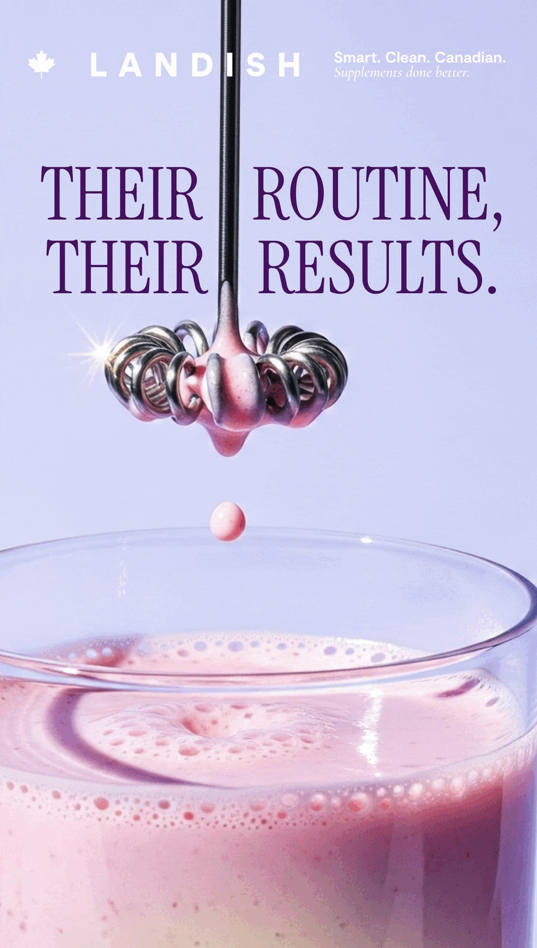 2025 Landish Beauty Blend E-mail Campaign