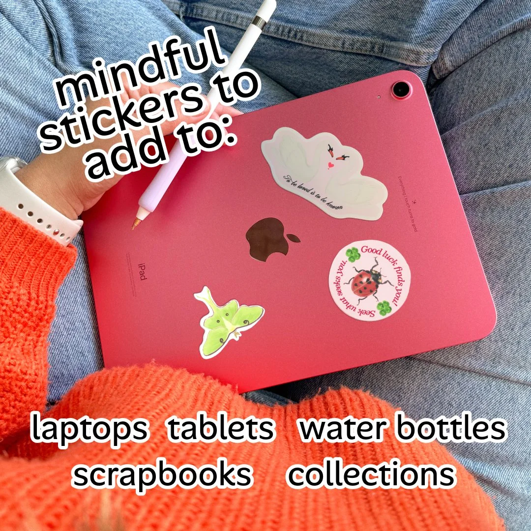 Ladybug luck V1.3.jpg