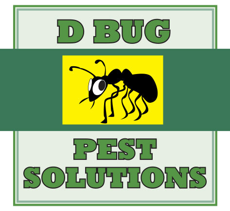 D Bug Pest Solutions